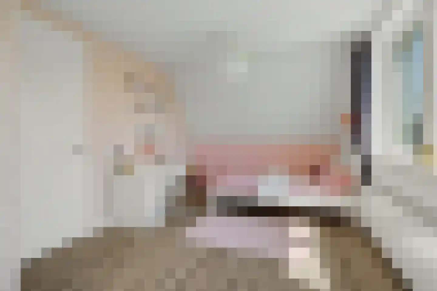 Stoofheule 9 Nieuwerkerk thumbnail 29