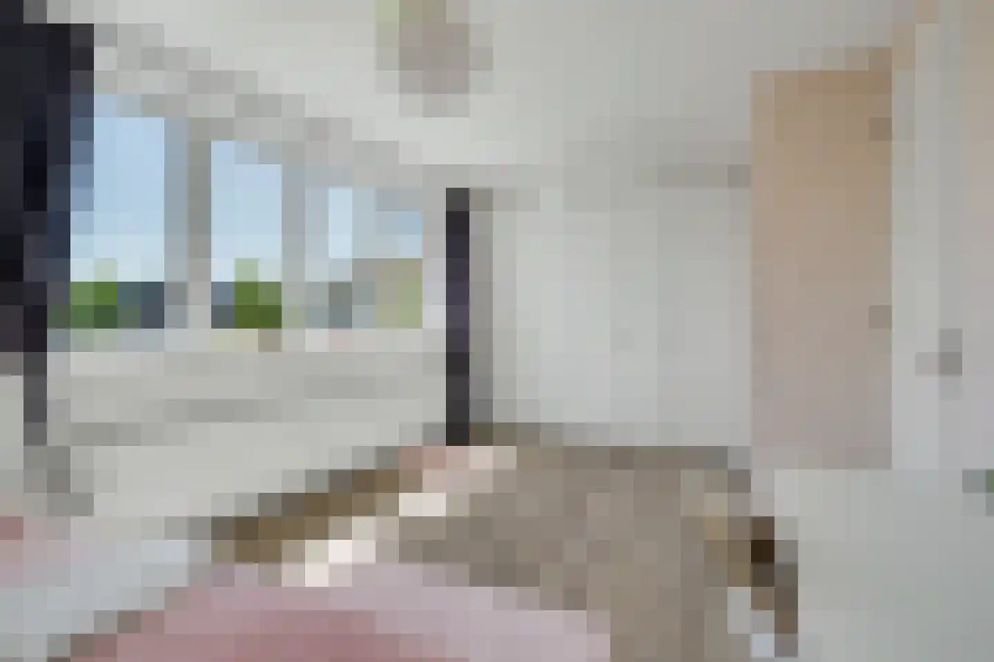 Stoofheule 9 Nieuwerkerk thumbnail 30