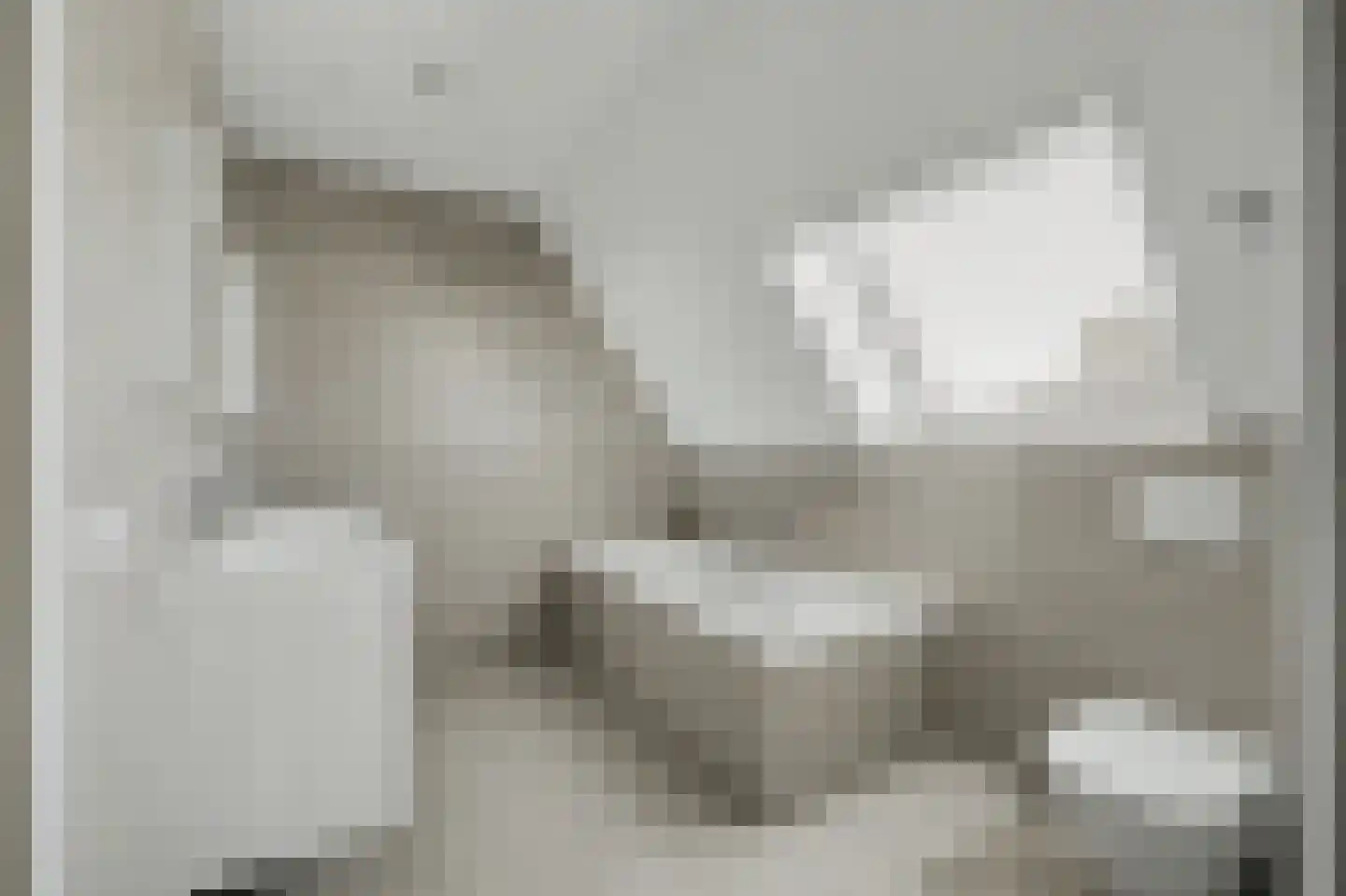 Stoofheule 9 Nieuwerkerk thumbnail 31
