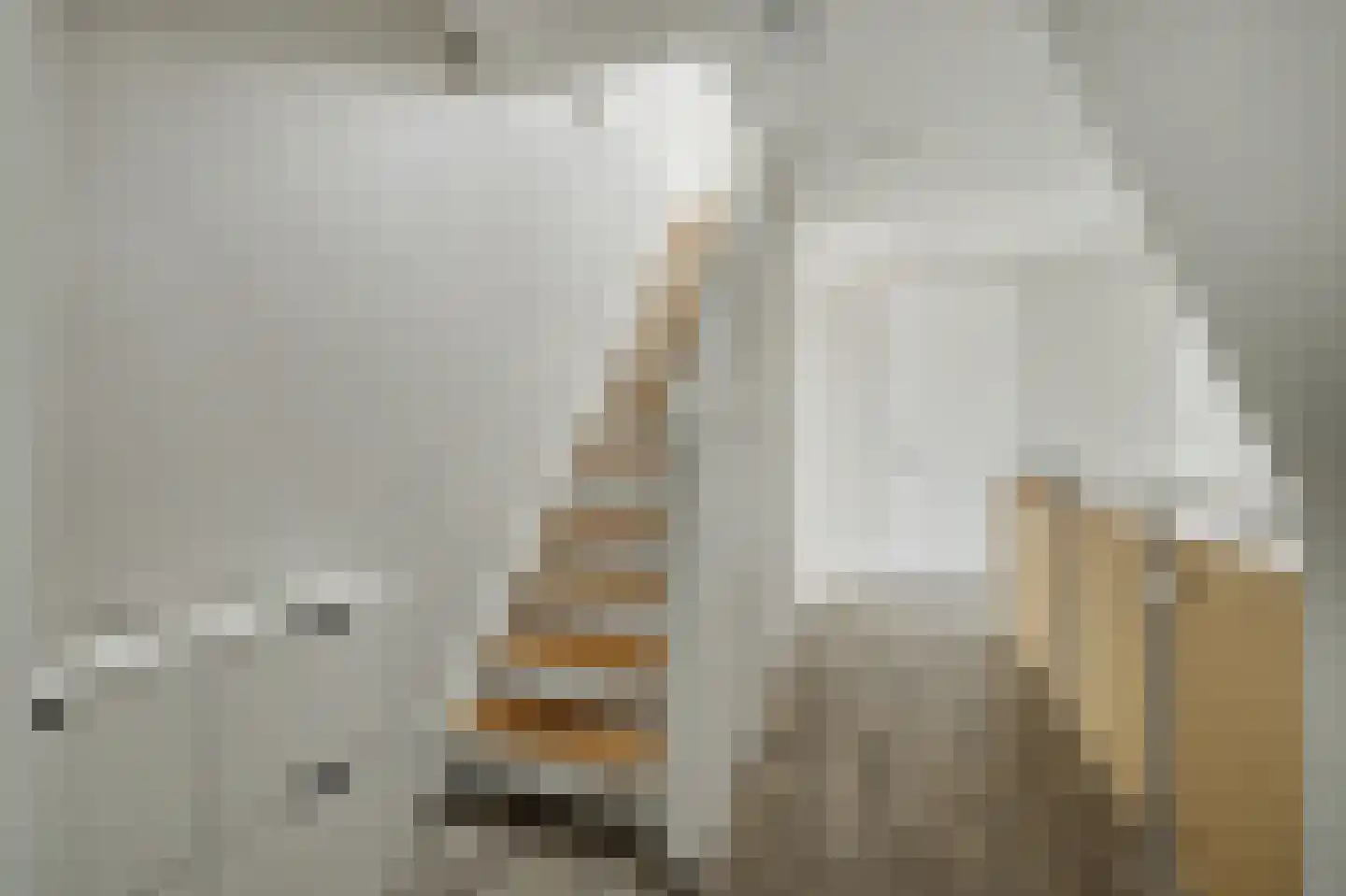 Stoofheule 9 Nieuwerkerk thumbnail 34
