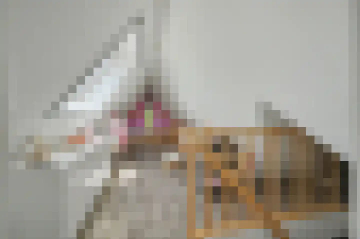 Stoofheule 9 Nieuwerkerk thumbnail 35