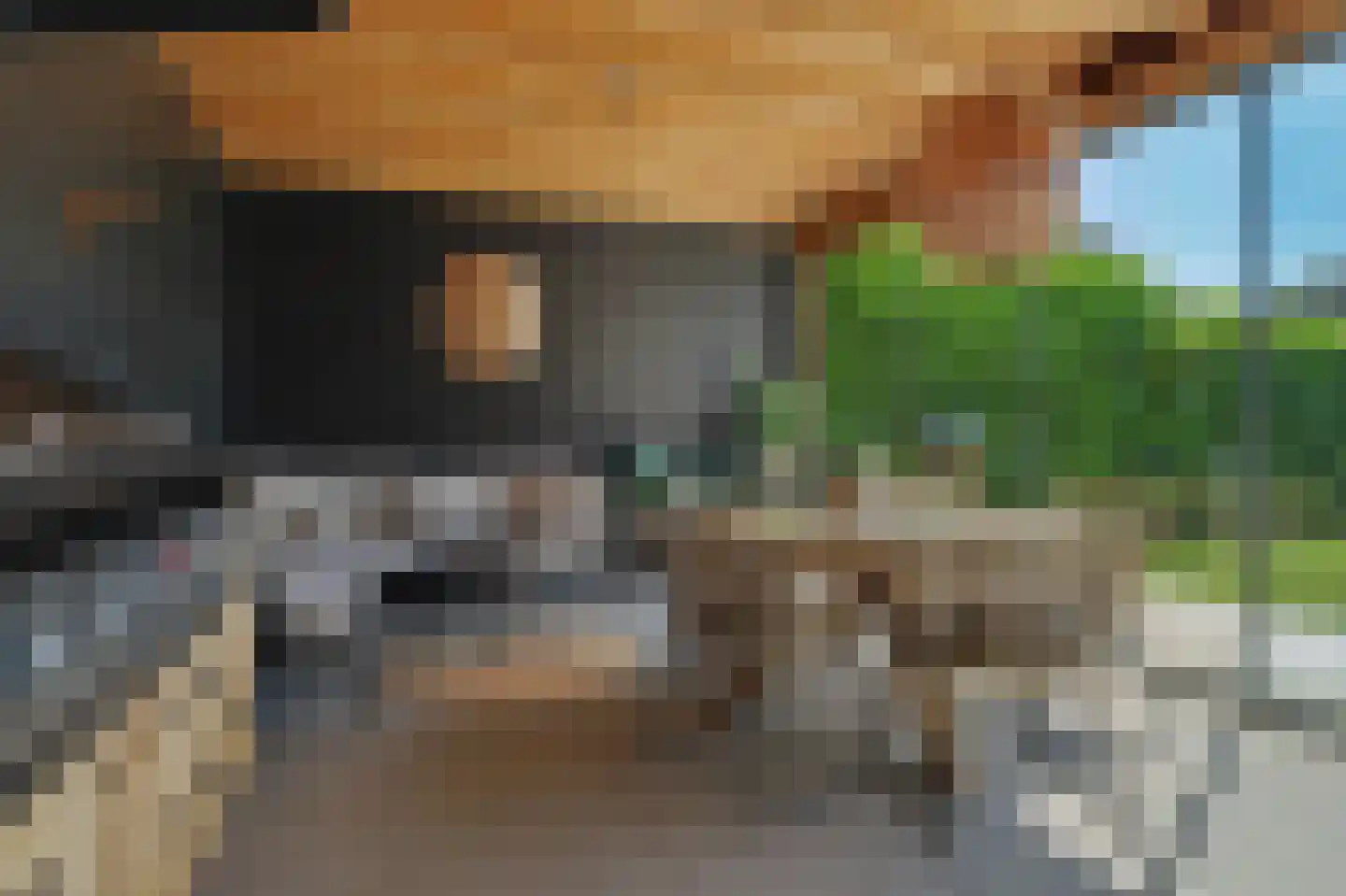 Stoofheule 9 Nieuwerkerk thumbnail 50