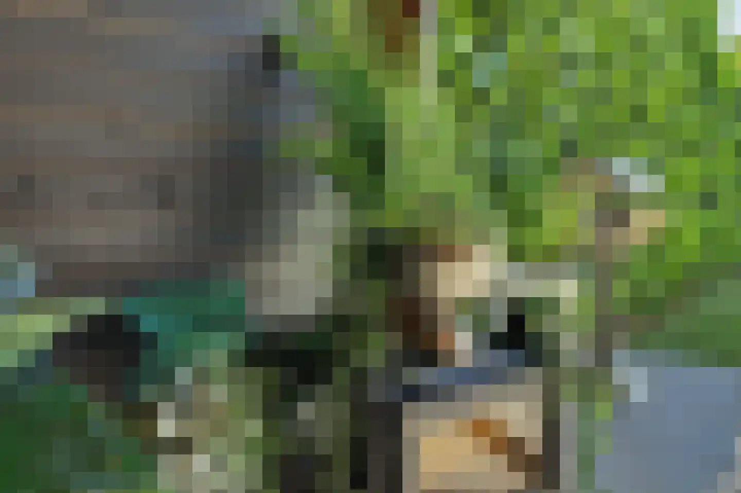 Stoofheule 9 Nieuwerkerk thumbnail 52