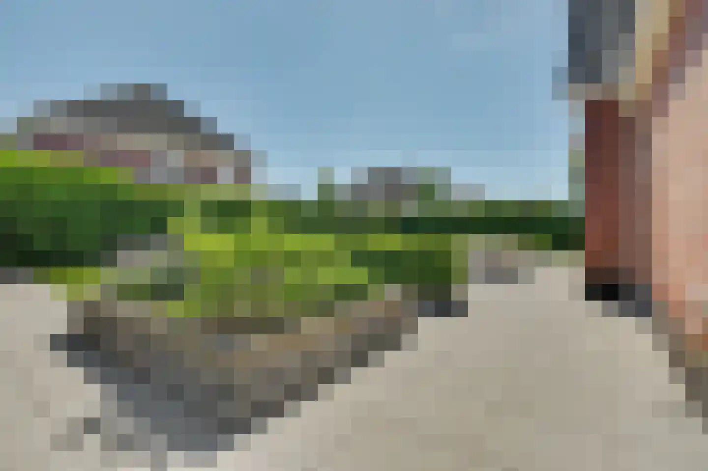 Stoofheule 9 Nieuwerkerk thumbnail 53