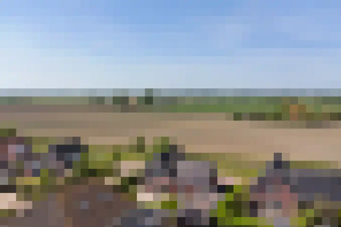 Stoofheule 9 Nieuwerkerk thumbnail 59