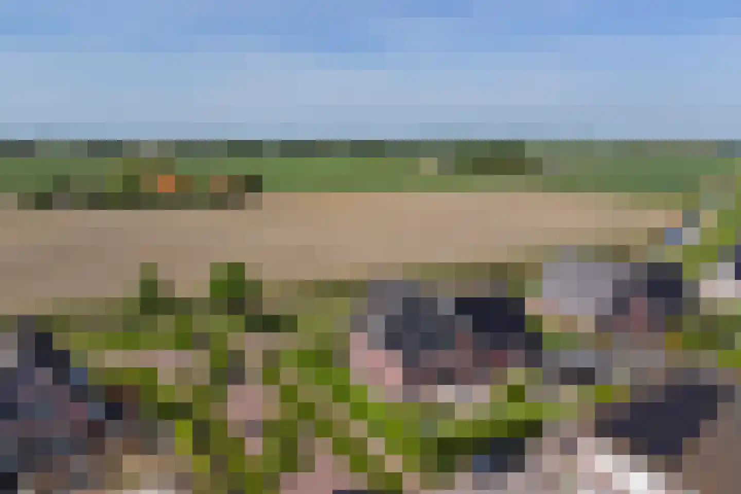 Stoofheule 9 Nieuwerkerk thumbnail 60