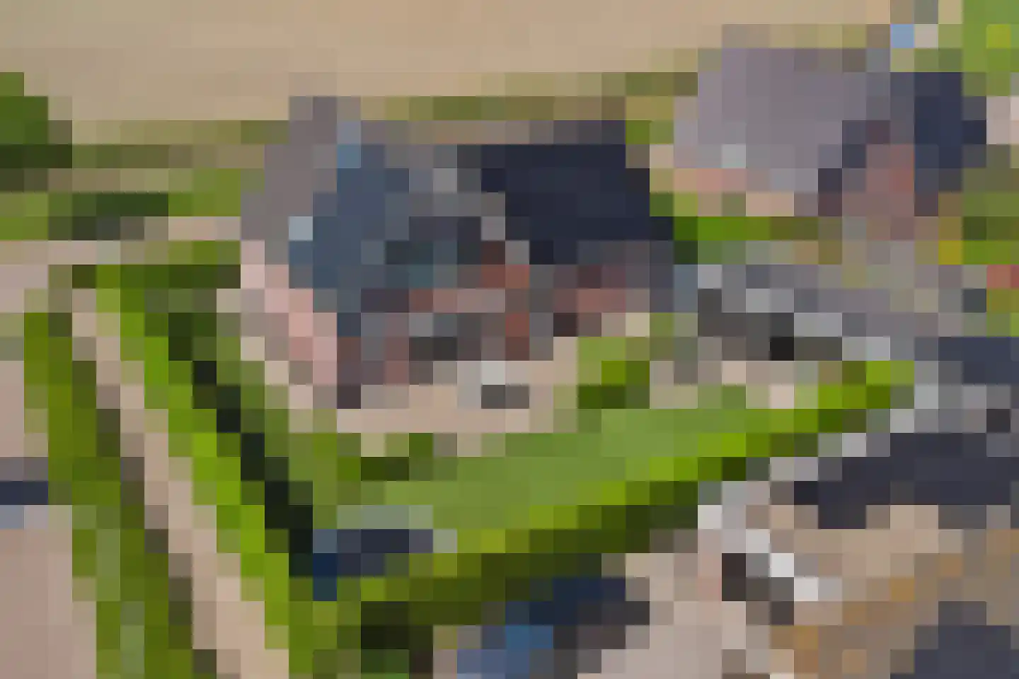 Stoofheule 9 Nieuwerkerk thumbnail 61