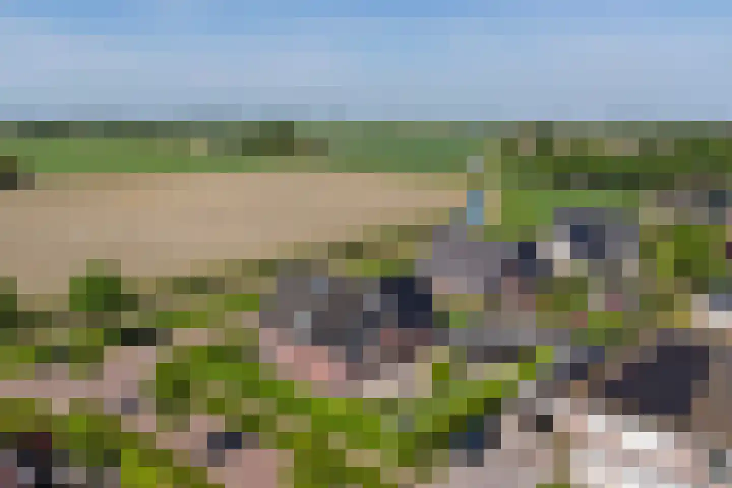 Stoofheule 9 Nieuwerkerk thumbnail 62