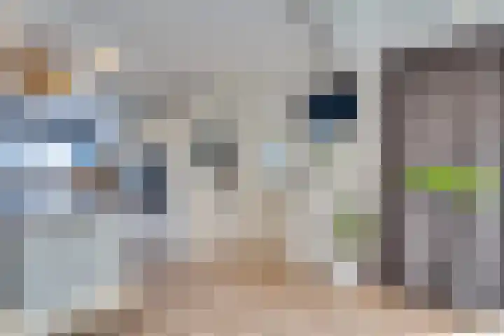 Stooflaan 3 's-Heerenhoek thumbnail 19