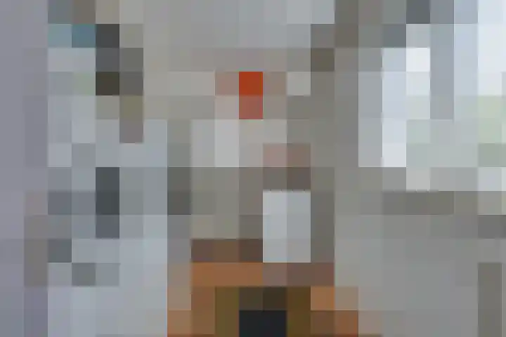 Stooflaan 3 's-Heerenhoek thumbnail 30