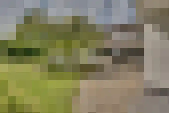Stooflaan 3 's-Heerenhoek thumbnail 59