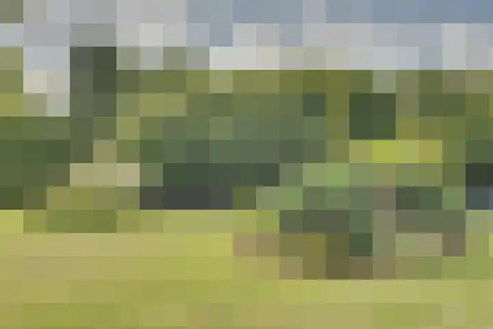 Stooflaan 3 's-Heerenhoek thumbnail 71