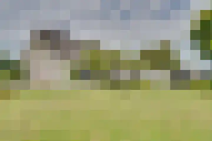 Stooflaan 3 's-Heerenhoek thumbnail 79