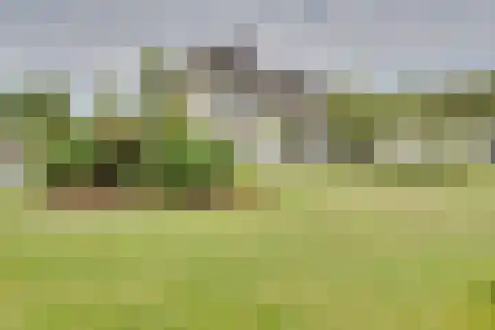 Stooflaan 3 's-Heerenhoek thumbnail 80