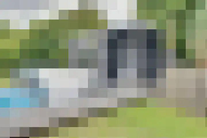 Stooflaan 3 's-Heerenhoek thumbnail 81