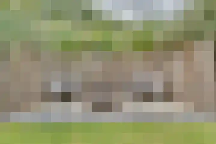 Stooflaan 3 's-Heerenhoek thumbnail 82