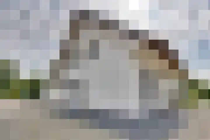 Stooflaan 3 's-Heerenhoek thumbnail 84