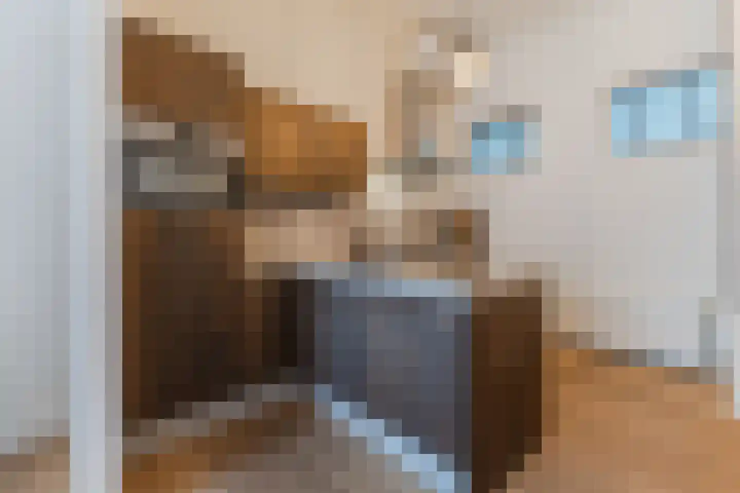 Stoofsteeg 4 c Gouda thumbnail 19