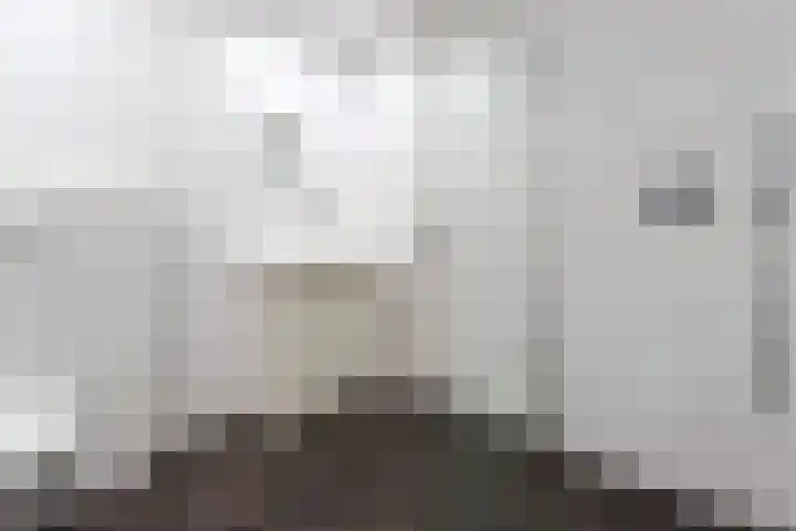 Stoofsteeg 6 D Haarlem thumbnail 15