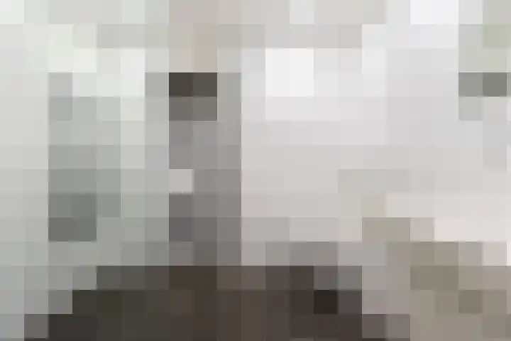 Stoofsteeg 6 D Haarlem thumbnail 16