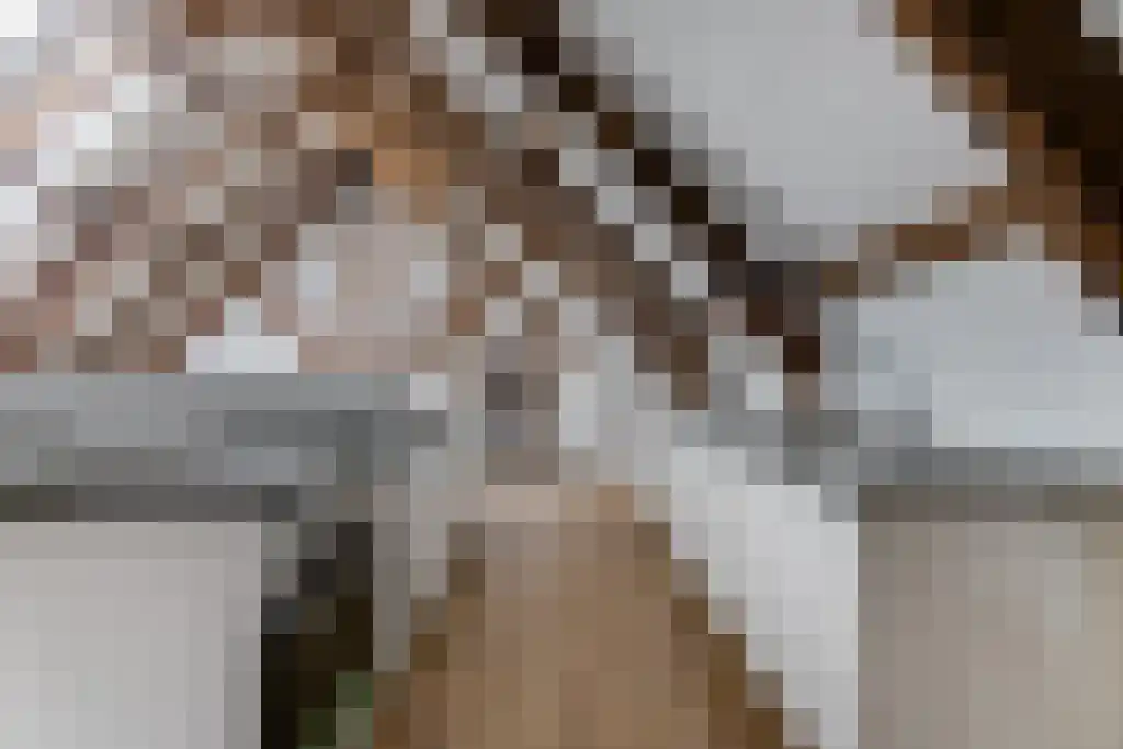 Stoofsteeg 6 E Haarlem thumbnail 4