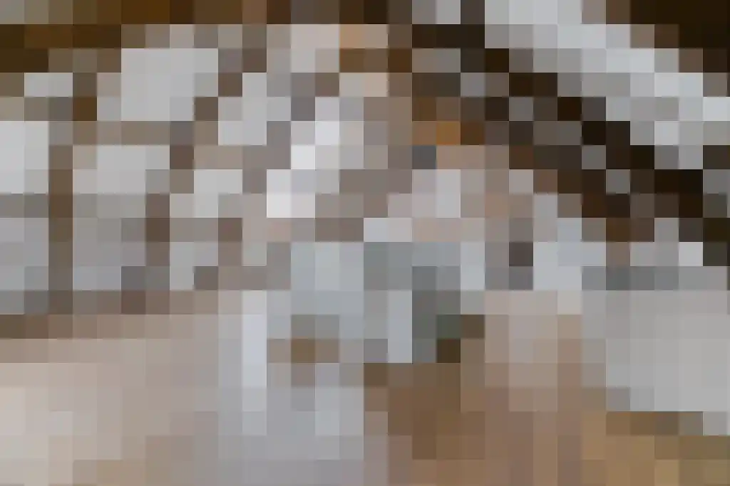 Stoofsteeg 6 E Haarlem thumbnail 6