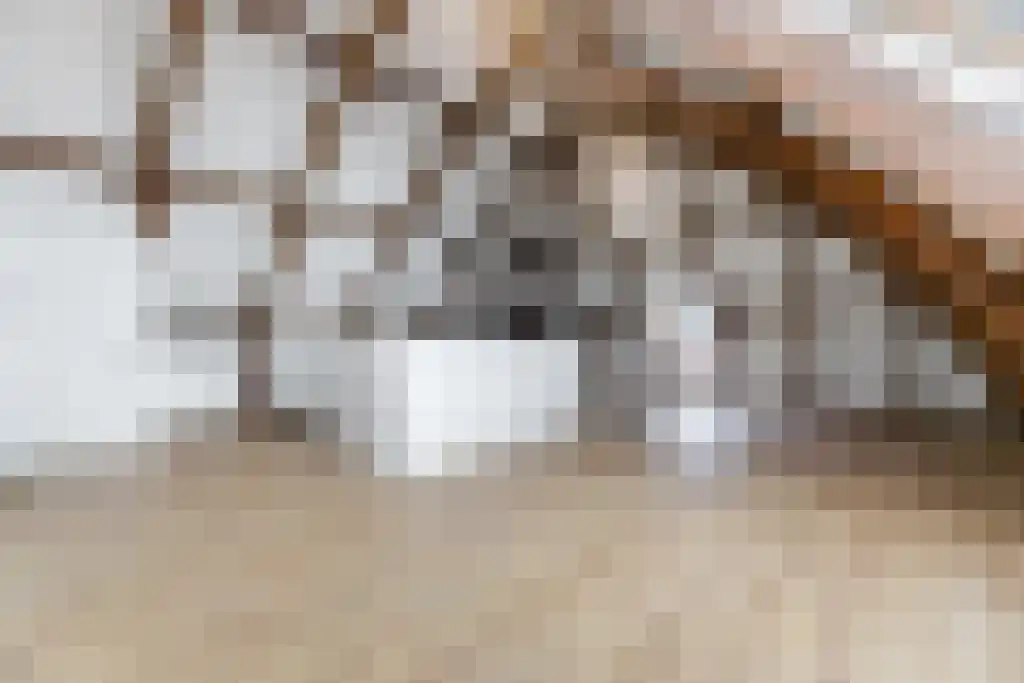 Stoofsteeg 6 E Haarlem thumbnail 7