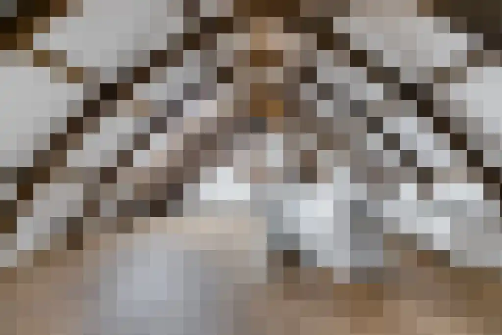 Stoofsteeg 6 E Haarlem thumbnail 8