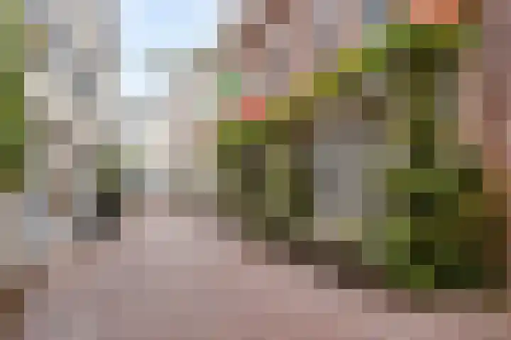 Stoofstraat 12 A 's-Hertogenbosch thumbnail 21