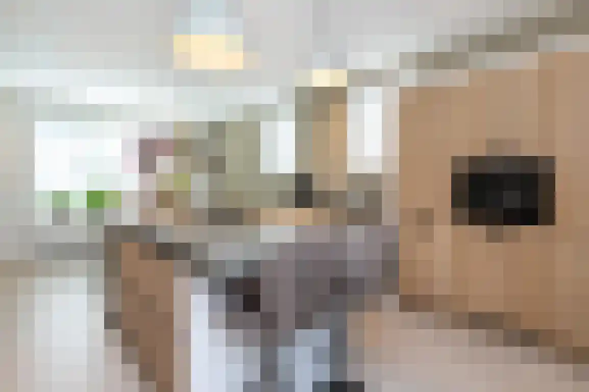 Stoofstraat 12 Ooltgensplaat thumbnail 21