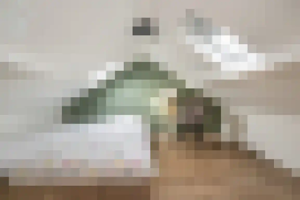 Stoofstraat 12 Ooltgensplaat thumbnail 43