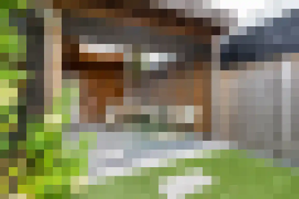 Stoofstraat 12 Ooltgensplaat thumbnail 47