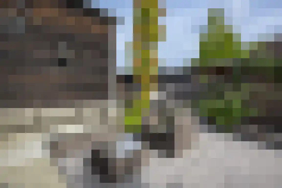 Stoofstraat 12 Ooltgensplaat thumbnail 54