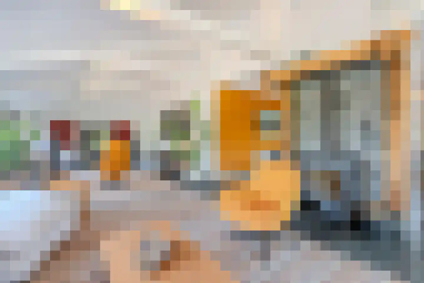 Stoofstraat 26 Oud Gastel thumbnail 31