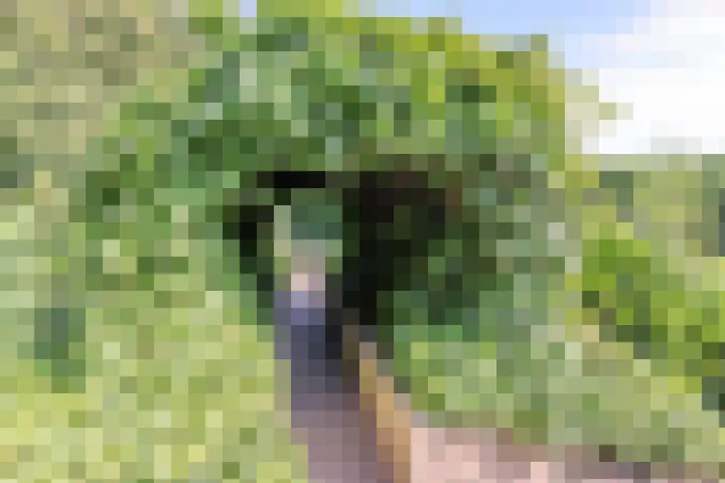 Stoofstraat 26 Oud Gastel thumbnail 87