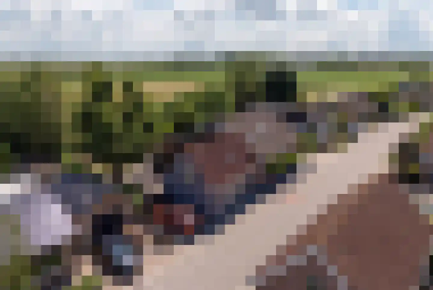 Stoofstraat 26 Oud Gastel thumbnail 93