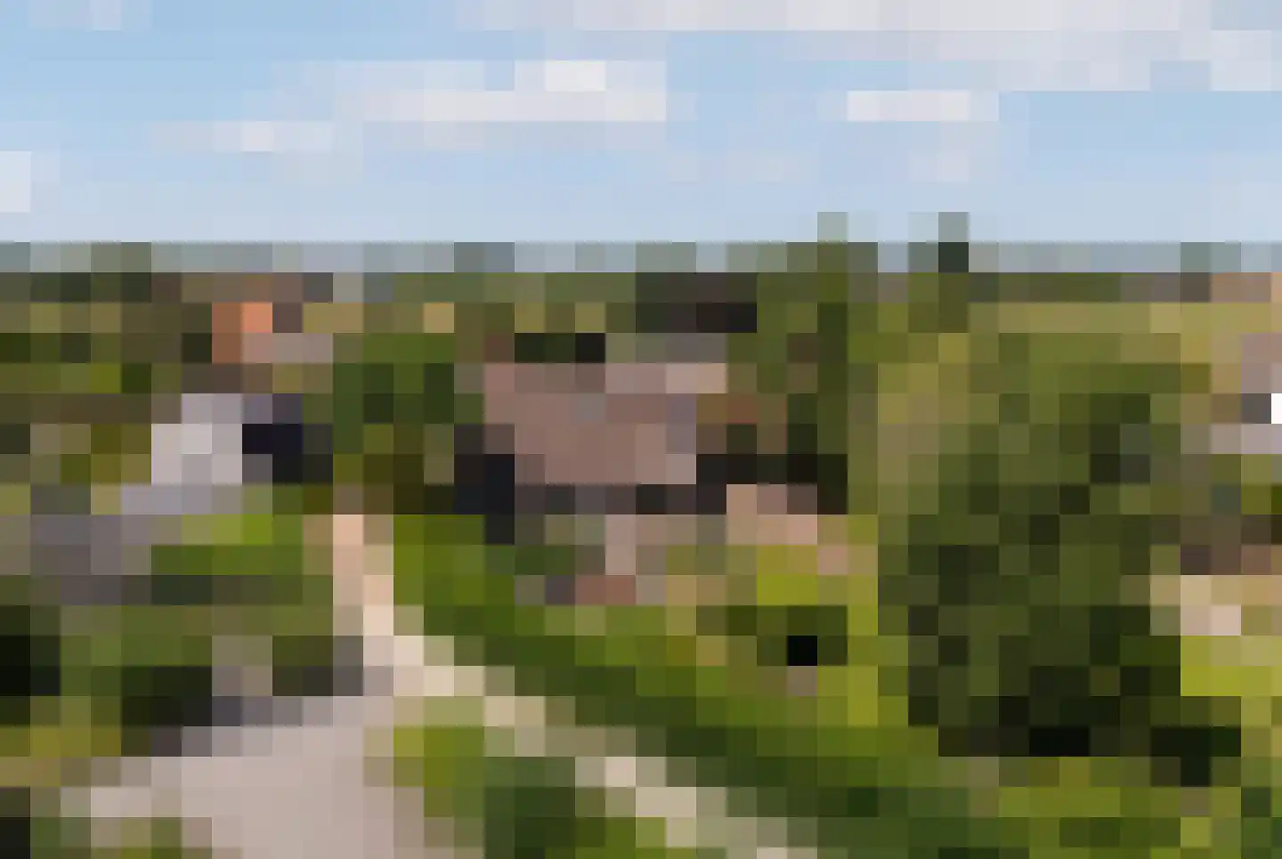 Stoofstraat 26 Oud Gastel thumbnail 99
