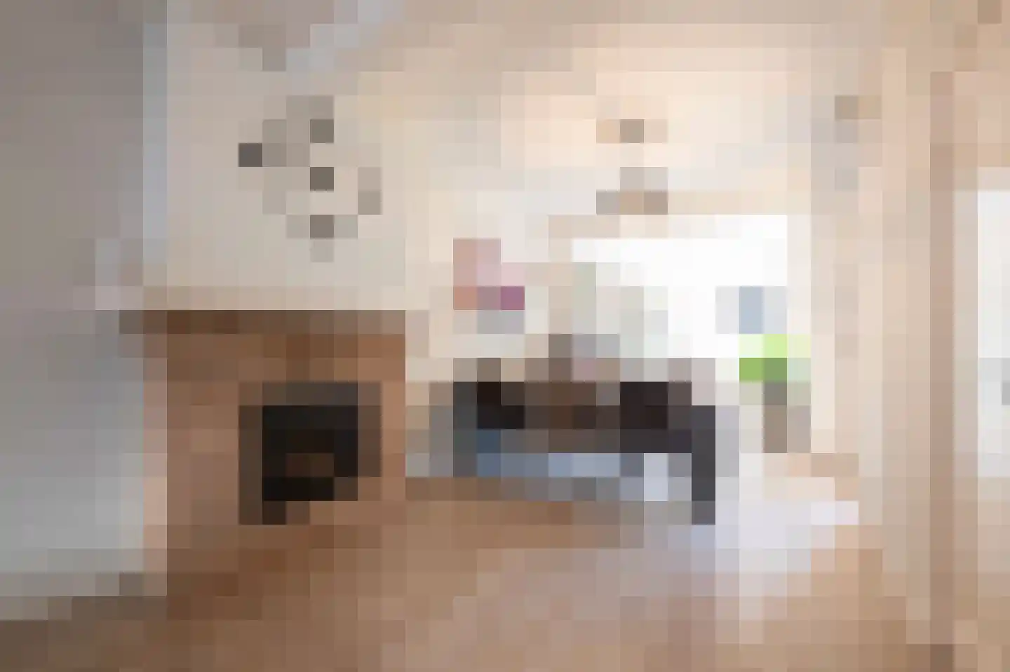 Stoofstraat 4 Oudenbosch thumbnail 12
