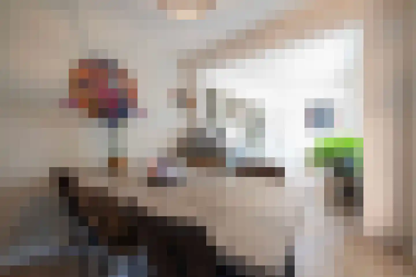 Stoofstraat 4 Oudenbosch thumbnail 13
