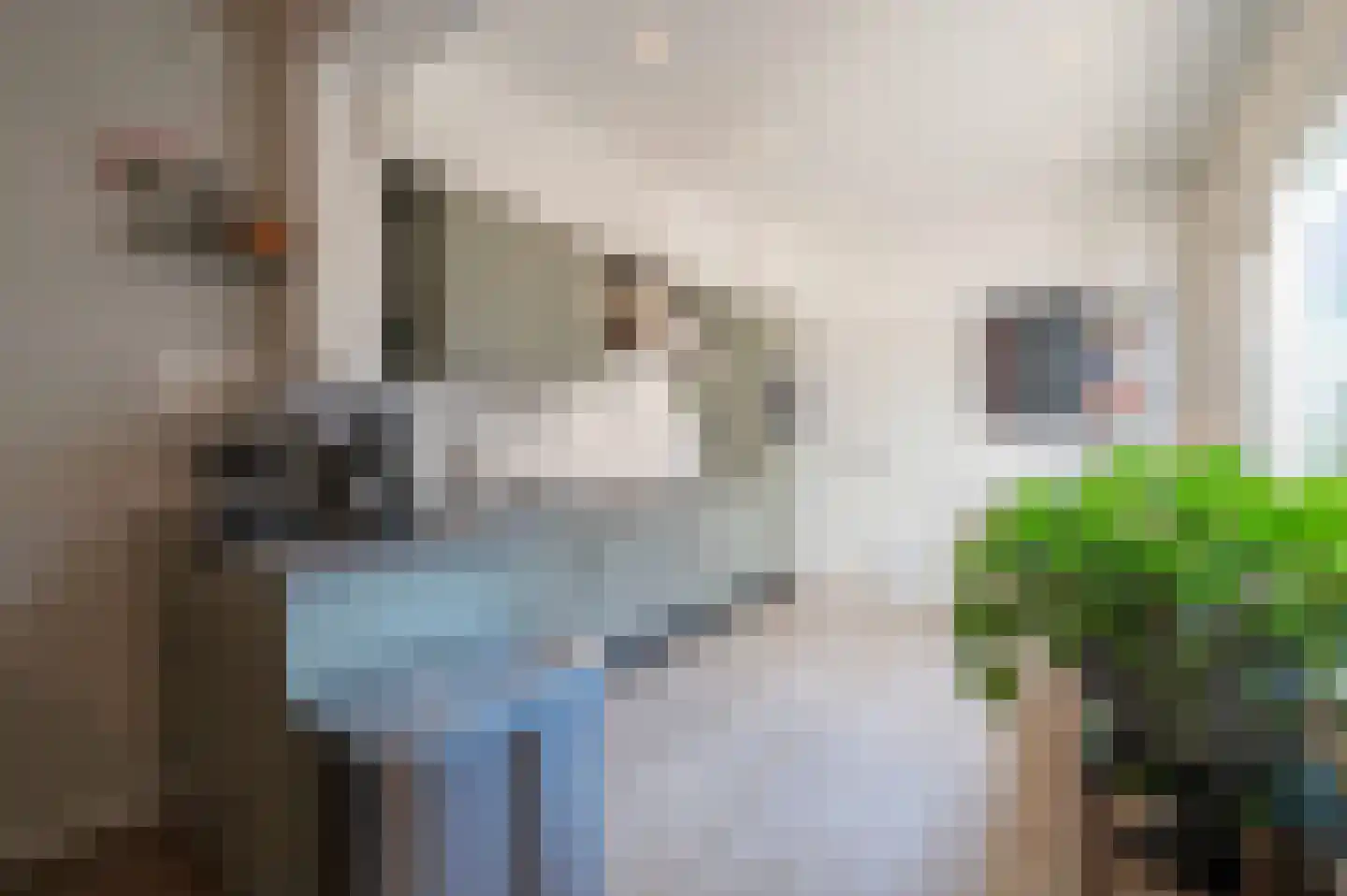 Stoofstraat 4 Oudenbosch thumbnail 15