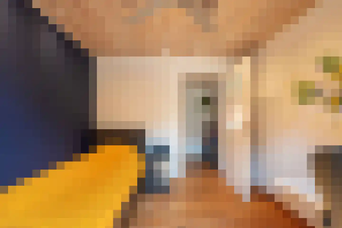 Stoofstraat 4 Oudenbosch thumbnail 34