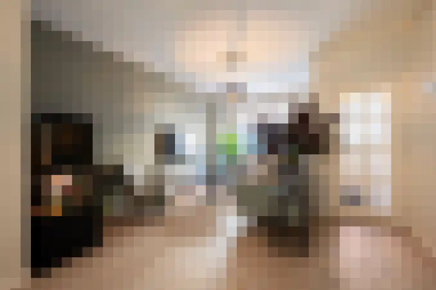 Stoofstraat 4 Oudenbosch thumbnail 8