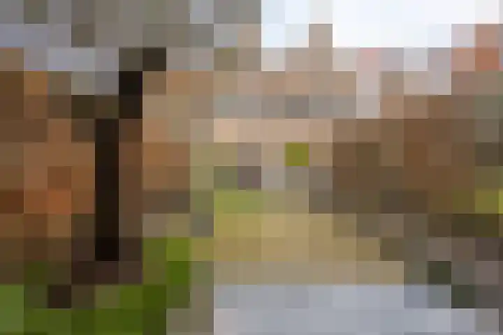 Stoofstraat 5 Tholen thumbnail 5