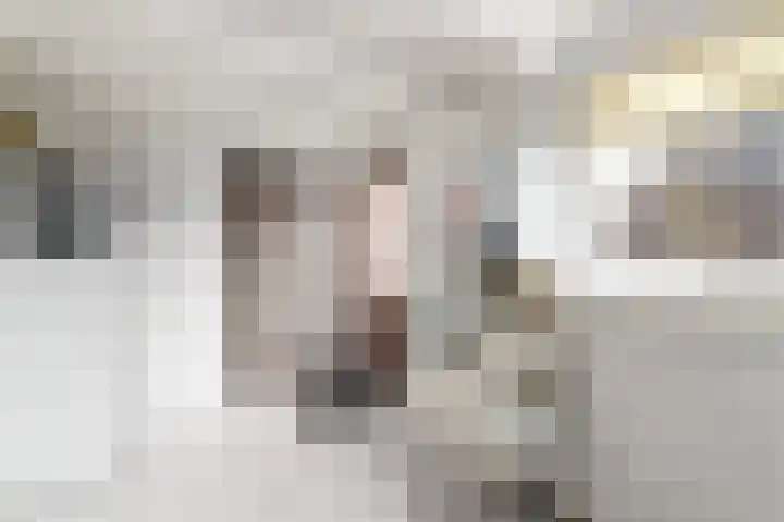 Stoofstraat 5 Tholen thumbnail 51