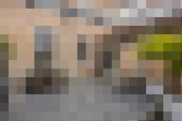 Stoofstraat 5 Tholen thumbnail 61