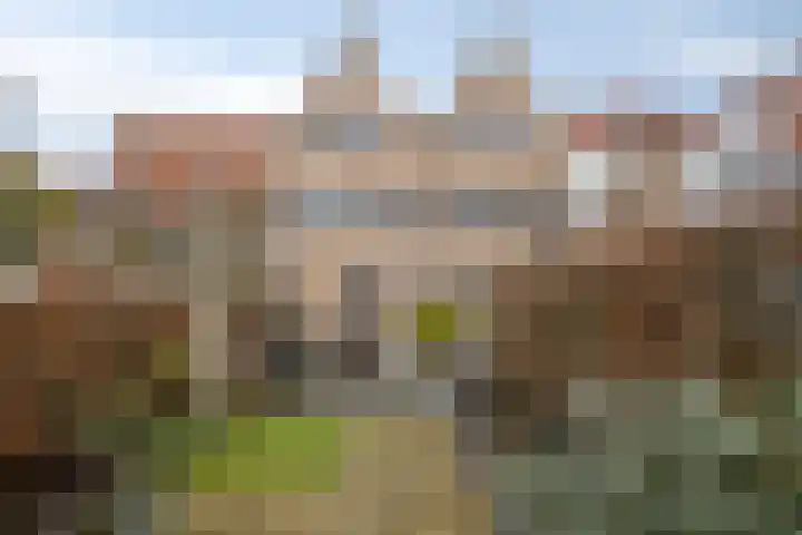 Stoofstraat 5 Tholen thumbnail 62