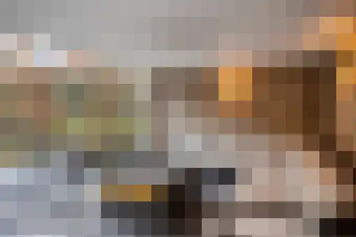 Stoofstraat 5 Tholen thumbnail 66