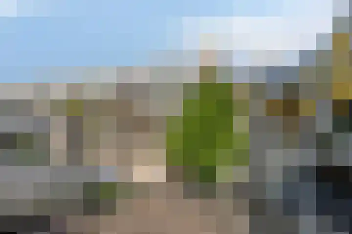 Stoofstraat 5 Tholen thumbnail 92