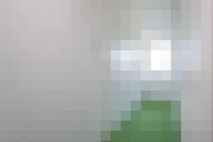Stoofweg 11 Herkingen thumbnail 17