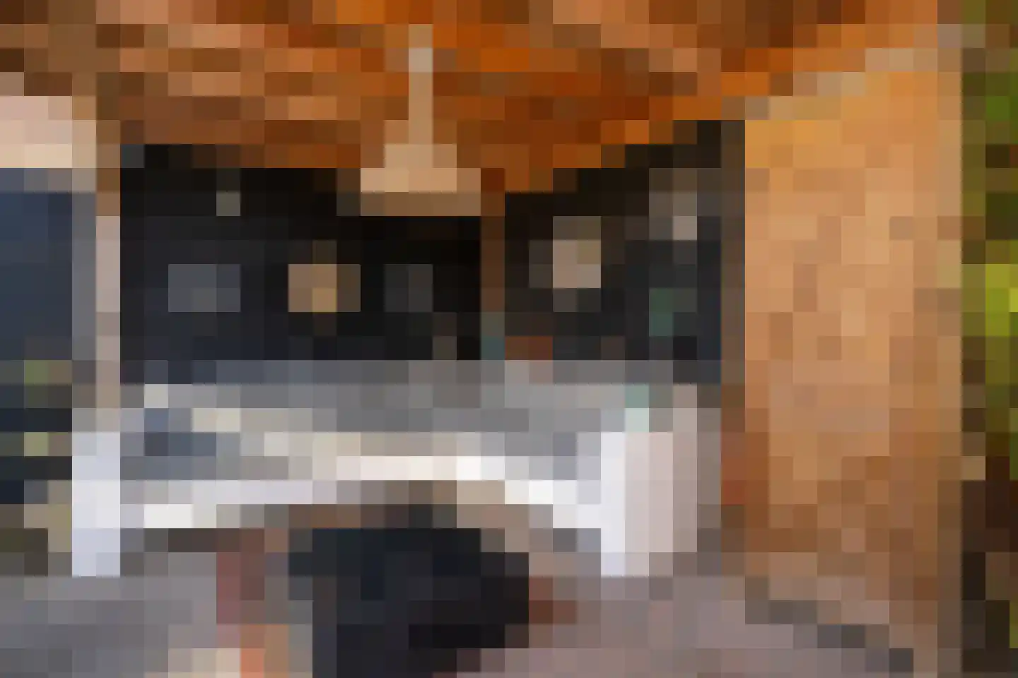 Stoofweg 11 Herkingen thumbnail 28